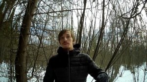 ПОЧЕМУ БОЙЦОВСКИЕ СОБАКИ ЧАЩЕ ДРУГИХ ПОРОД НАПАДАЮТ НА ЛЮДЕЙ И СОБАК
