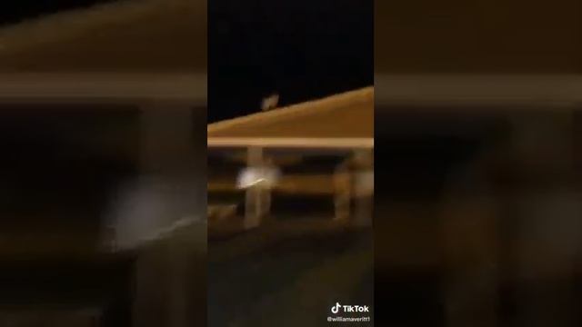 MEME - WHAT'S YOUR NAME FUCK YOU TONY - ORIGINAL смотреть онлайн