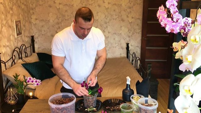 Удивил АРОМАТОМ. ПЕРЕСАЖИВАЮ Сого Релекс в СТАНДАРТНУЮ систему. КОРА+МОХ. смотреть онлайн