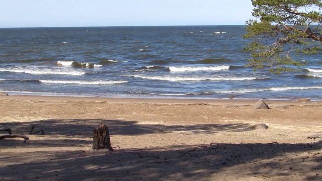 Сосновый Бор,берег Финского залива смотреть онлайн