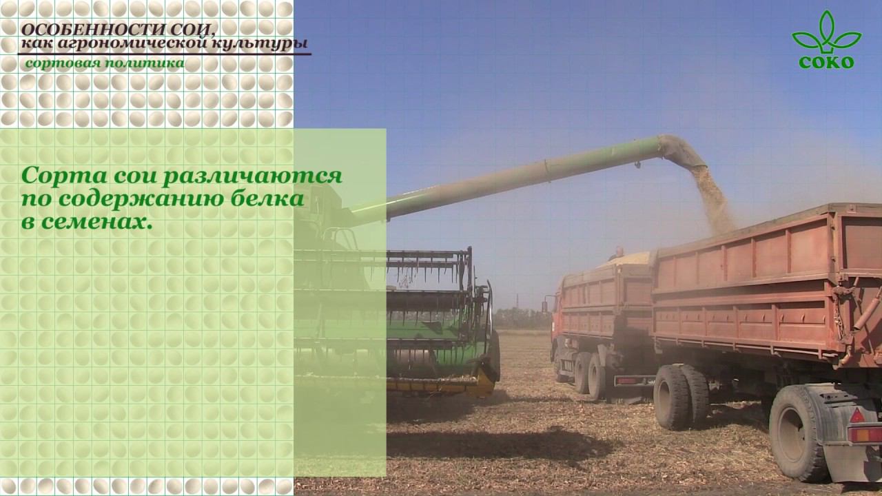 Технология возделывания сои от "СОКО" смотреть онлайн