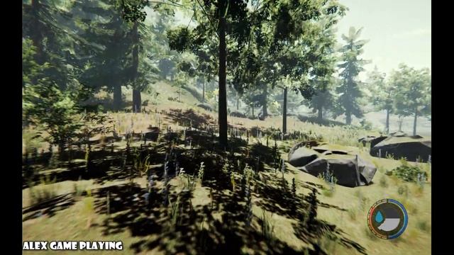 Где найти КАБАНА в THE FOREST? смотреть онлайн