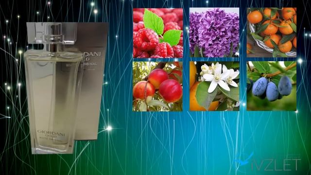 42752 Giordani Gold White Original Джордани Голд Уайт Ориджинал Орифлэйм смотреть онлайн