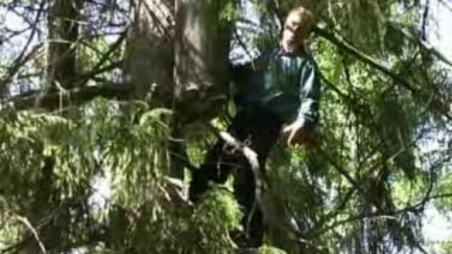 Ловля бродячих пчелиных роев смотреть онлайн