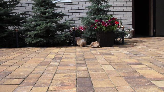 Богдан смотреть онлайн