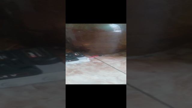 Душ из авто омывателя стёкол