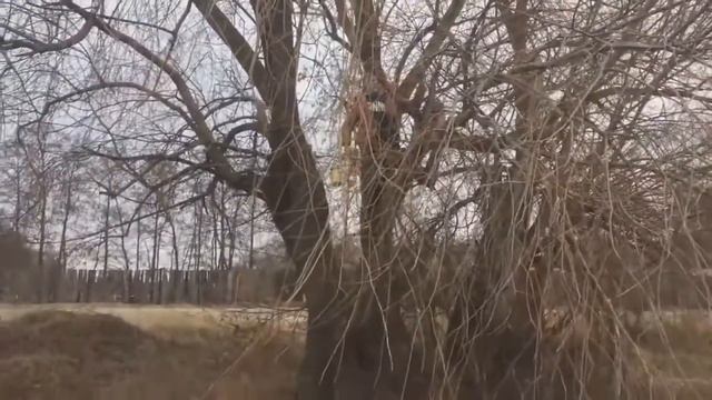 пасмурная погода. смотреть онлайн