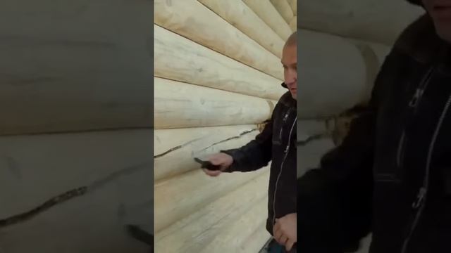 #деревянныйдом #строительство #недвижимость #сергейлодыга #сруб #строимдом #герметик #дом