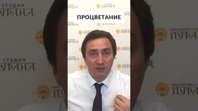 Процветание смотреть онлайн