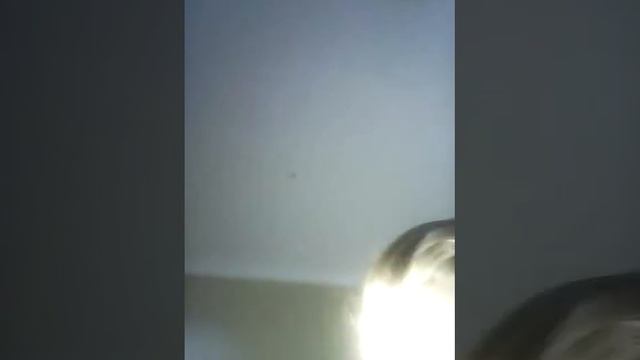 Как сделать высокий хвост , и ещё длиный смотреть онлайн