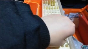 Укладка скорой медицинской помощи, что в ней?(желтый чемоданчик)