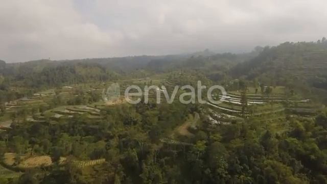 Tropical Landscape with Farmlands in Mountains | Stock Footage - Envato elements смотреть онлайн