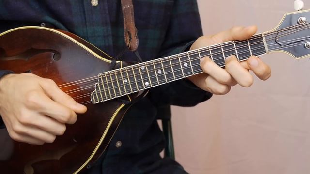 Irish Washerwoman (With Tabs) - Mandolin Lesson смотреть онлайн