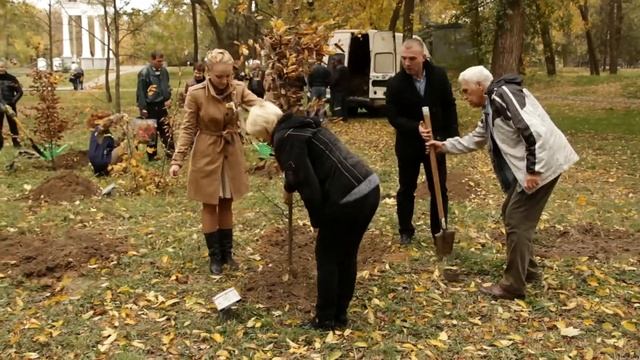 Владимир Соколовский. 'Семейное дерево' смотреть онлайн