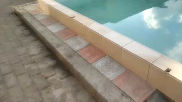 VLOG: ПРОБУЕМ НОВИНКИ PEPSI МАНГО И МИЛКА С С БАНАНОМ/МОЙ КОТ КотоПес смотреть онлайн