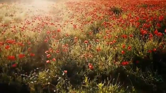 Piano Meditation Music / Музыка для медитации на фортепиано