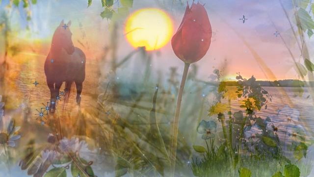 Приходит утро запахом весны смотреть онлайн