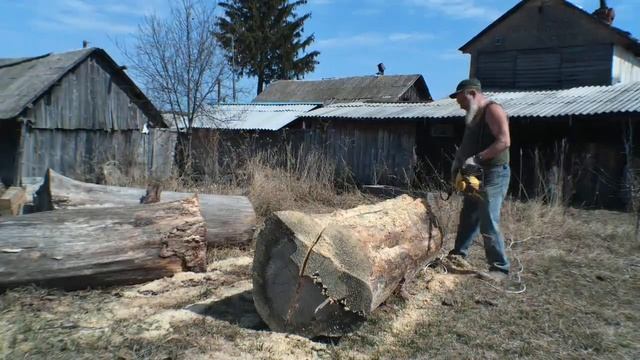 Как распилить огромное бревно для изготовления огромного стола.