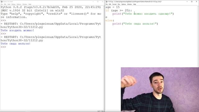 Python с нуля Урок 2 Условные операторы Пользовательский ввод смотреть онлайн