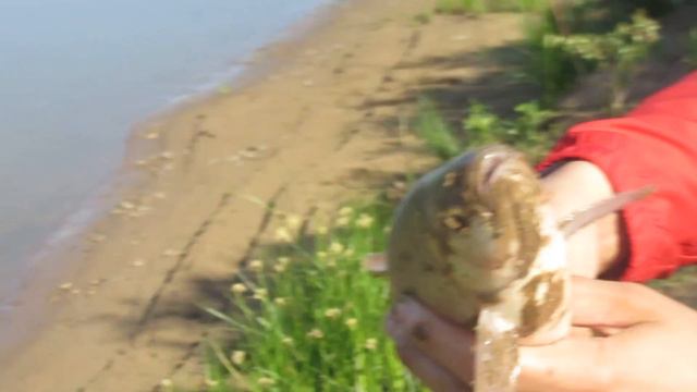 Рыбалка за базой отдыха Нура. Июнь 2022 смотреть онлайн