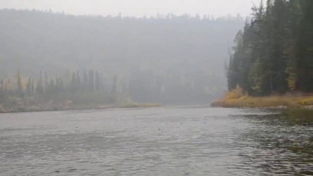 В погоне за осенним хариусом! Налим под водой и Хариус на нахлыст!) смотреть онлайн