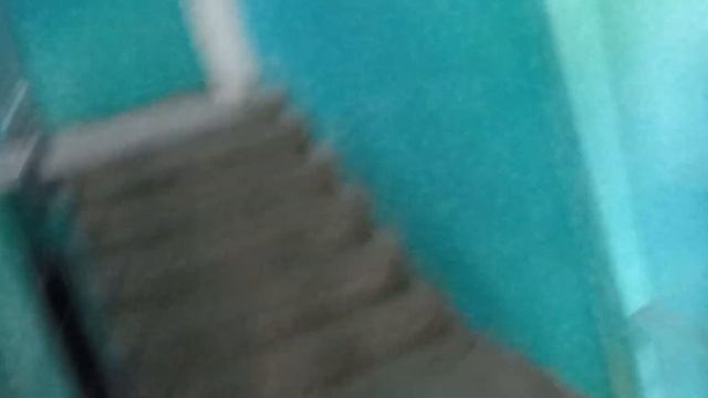 Как открыть Домофон Цифрал без ключа смотреть онлайн