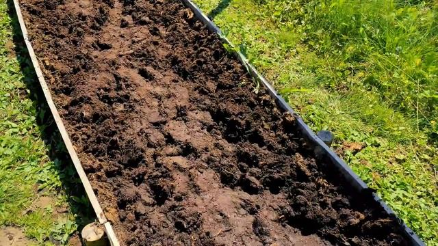 Большие рыбы в аквариуме. Прогулка по лесу смотреть онлайн