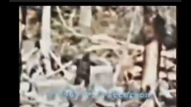 СНЕЖНЫЙ ЧЕЛОВЕК! смотреть онлайн