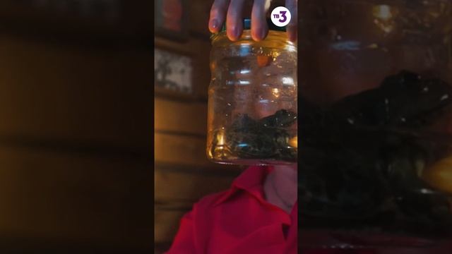 Супердочь, супержена, супертеща — и Валера #shorts смотреть онлайн