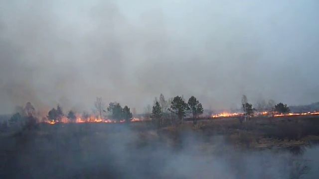 Амурка.. горит трава.. смотреть онлайн