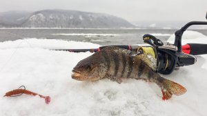 Первая Рыбалка по Открытой воде! Ловля окуня в марте, отводной поводок Тольятти Высоковольтка ВВ