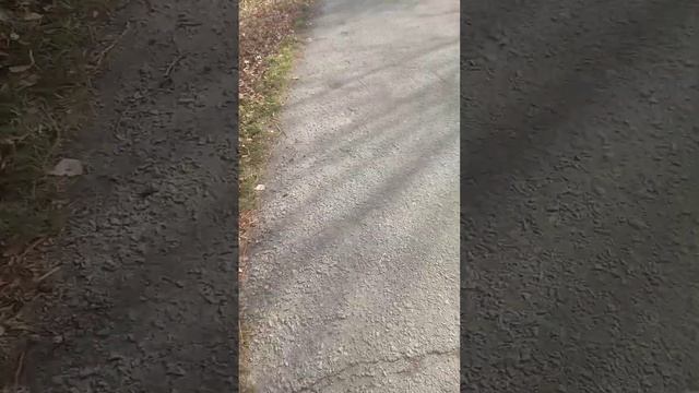 Розказую про свою Жизнь( Снімаю Я) смотреть онлайн