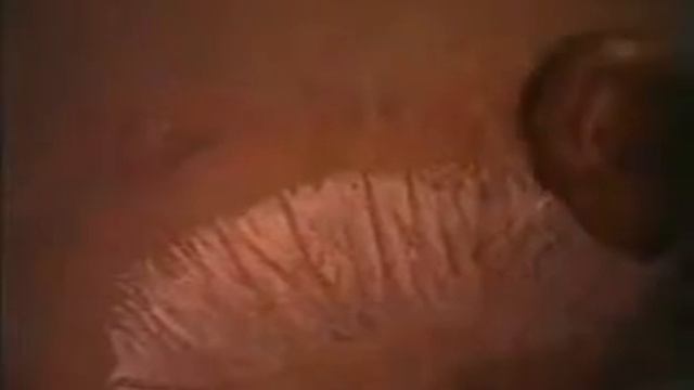 ВВС СССР: Один на один с пустыней смотреть онлайн