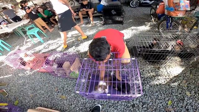 NAGHAHANAP KA BA NG MURANG BULLY? смотреть онлайн