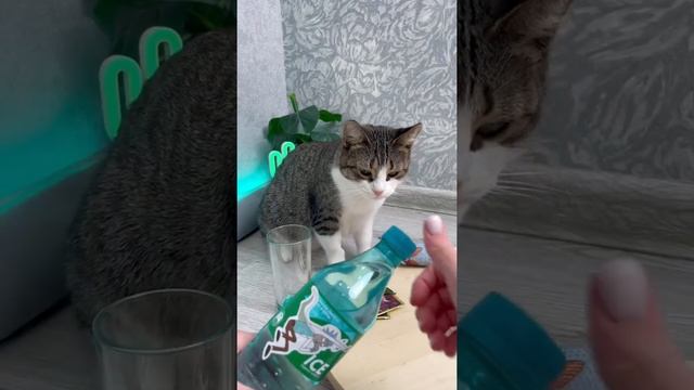 ДомоМастер