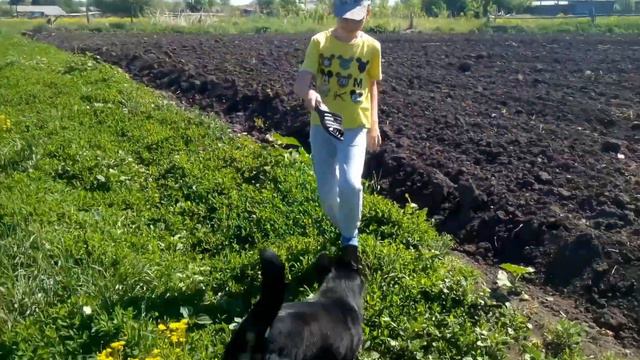Рыжий Дэнчик играется с бешеным  псом! Пёс хочет украсть шлёпок!