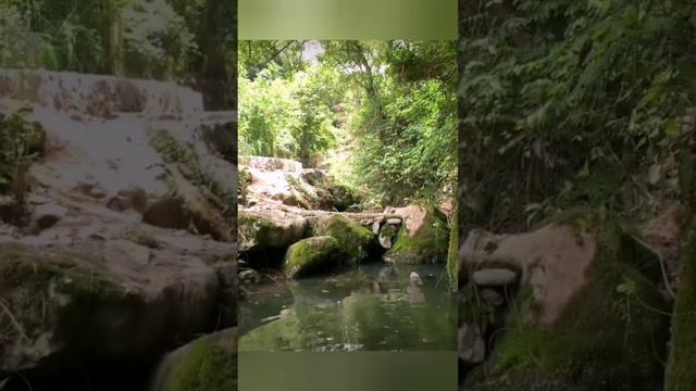 Гусята ? Купаться правильно тоже надо уметь?? bayoun.ru смотреть онлайн