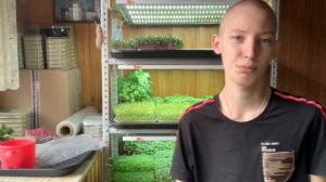 Как открыть ферму микрозелени? Бизнес на выращивании микрозелени! Как продавать микрозелень?