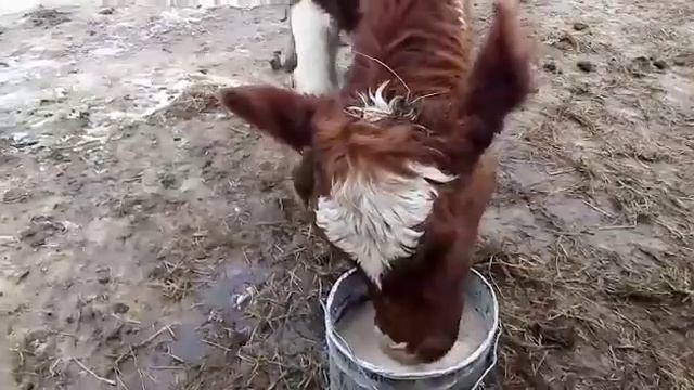 14 марта 2023 г. смотреть онлайн