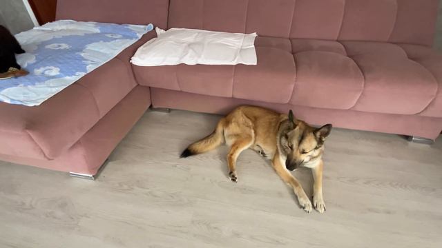 Душно, МММ разморило смотреть онлайн