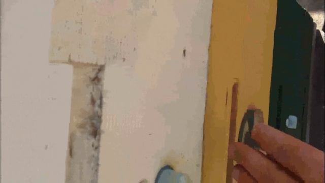 Альтернатива просечной вощине. Цветы, как индикатор погоды. смотреть онлайн