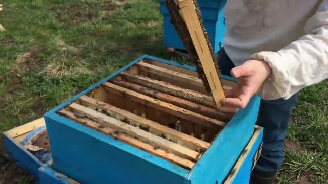 Простейший вывод маток в мае смотреть онлайн