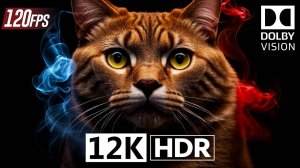 НОВЫЙ УРОВЕНЬ - Dynamic Crystal Color 12K HDR 120fps Dolby Vision