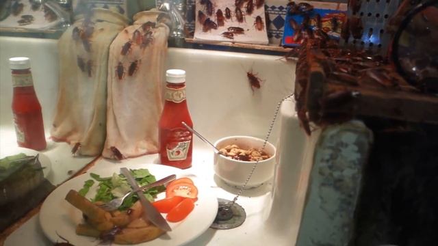 London 28 - ZSL London Zoo смотреть онлайн