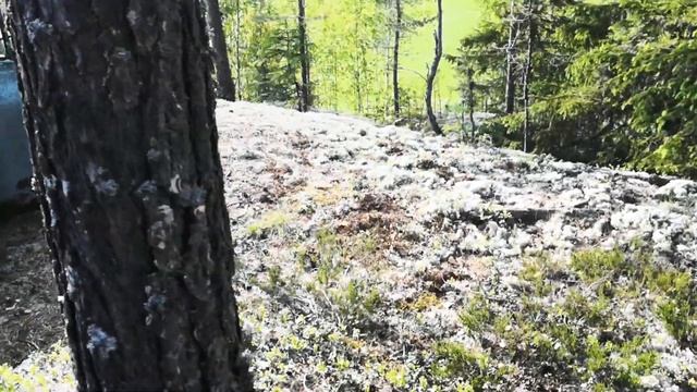 Skoda 1200 Abandoned