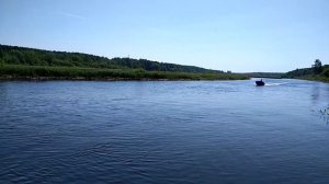 Гибрид ветерок 8  и чемпион 200 на казанке