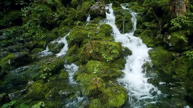mountain beautiful waterfall for study, reading 1h || горный красивый водопад для учебы, чтения 1ч. смотреть онлайн