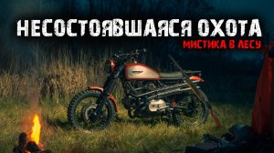 Мистика в лесу - Несостоявшаяся охота.