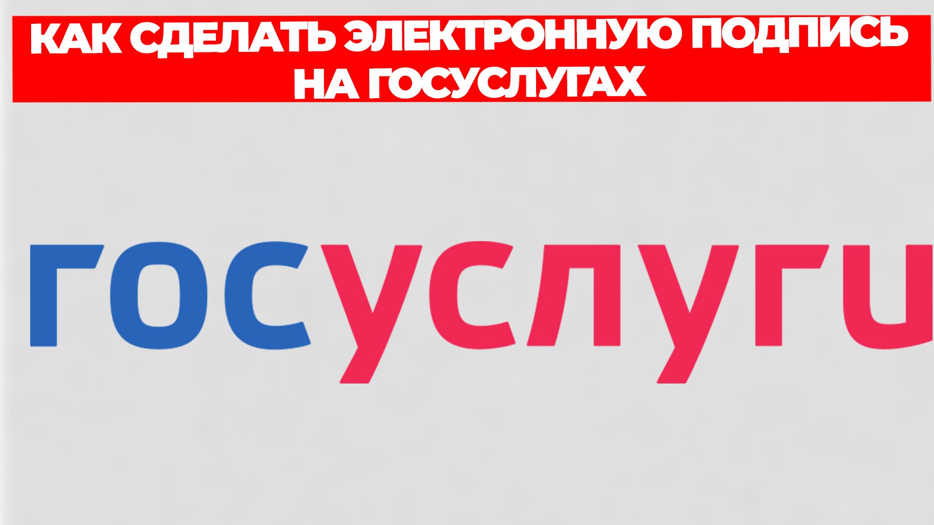 Всезнающий Енот