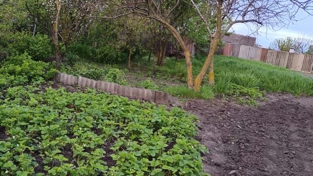 10 Мая, Сумы ???!Адекватные люди? Почему я не хозяйка? смотреть онлайн